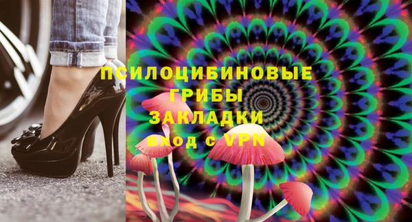 прущая мука Каменка