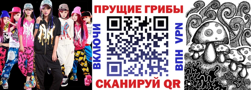 Купить  Кимовск  Галлюциногенные грибы Magic Shrooms 
